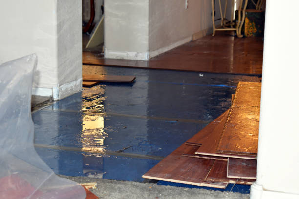 Professional Burst Pipe Cleanup technician working in Gilbertville, MA